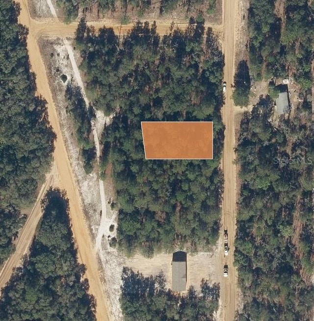Perry Ave, Interlachen, FL 32148