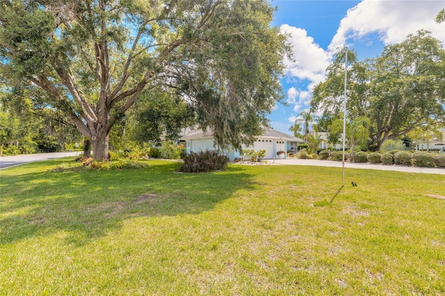904 Clubhouse Blvd, New Smyrna Beach, FL 32168 - view of grassy yard featuring driveway and an attached garage