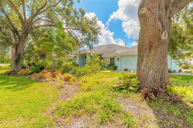 904 Clubhouse Blvd, New Smyrna Beach, FL 32168 - single story home with a front yard, stucco siding, and a shingled roof