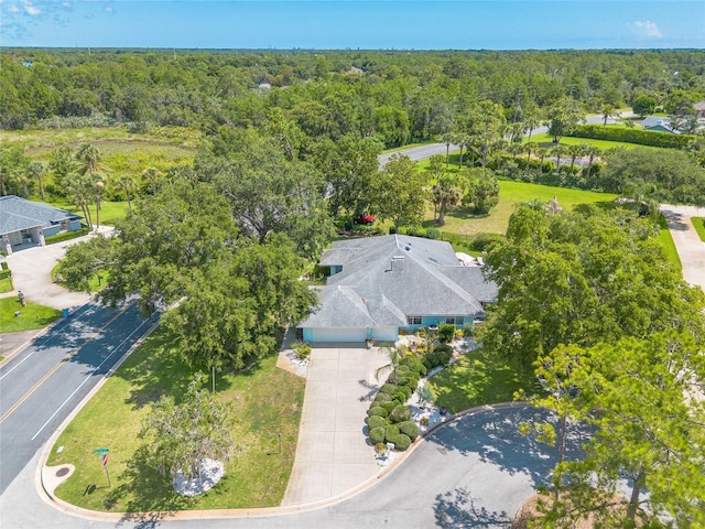 904 Clubhouse Blvd, New Smyrna Beach, FL 32168 - aerial view of a forest