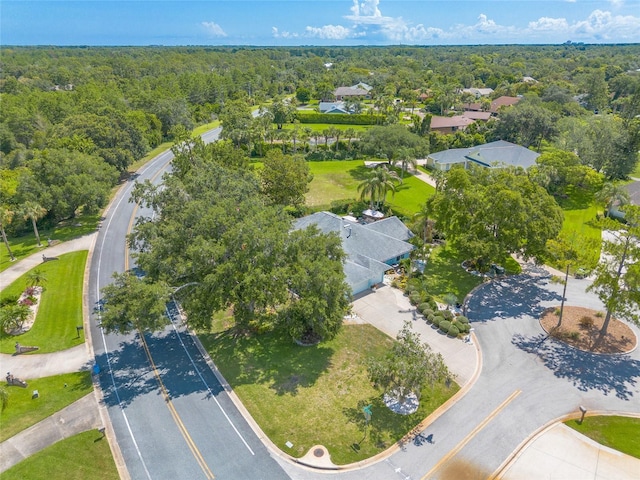904 Clubhouse Blvd, New Smyrna Beach, FL 32168 - bird's eye view of a heavily wooded area