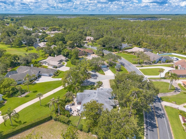 904 Clubhouse Blvd, New Smyrna Beach, FL 32168 - aerial view of residential area with a forest