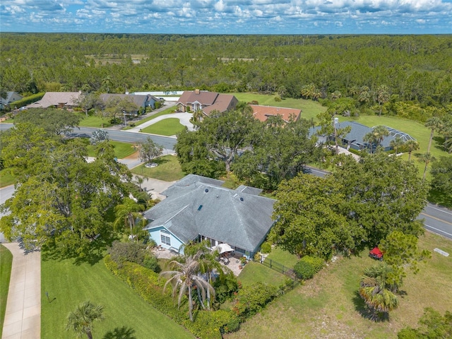 904 Clubhouse Blvd, New Smyrna Beach, FL 32168 - aerial overview of property's location with a forest