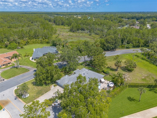 904 Clubhouse Blvd, New Smyrna Beach, FL 32168 - aerial view of property's location with a forest