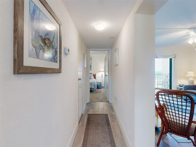 4175 S Atlantic Ave Unit 4110, New Smyrna Beach, FL 32169 - hall with wood finished floors and baseboards