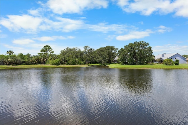 684 Rochester Ct, New Smyrna Beach, FL 32168 - water view