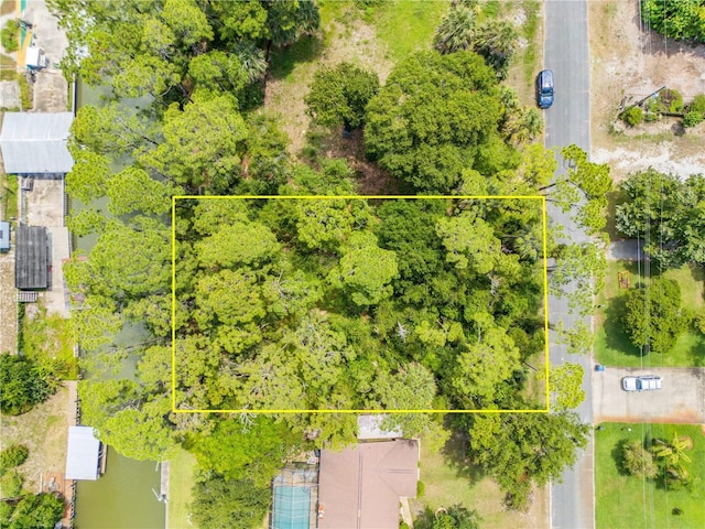133 Hazelwood River Rd, Edgewater, FL 32141 - photo 1