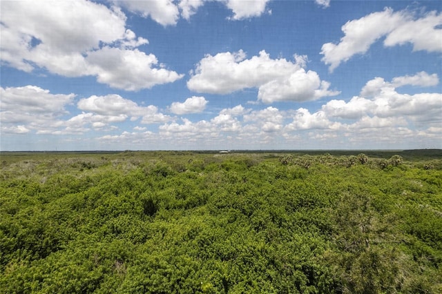 5300 S Atlantic Ave Unit 5-502, New Smyrna Beach, FL 32169 - view of wooded area
