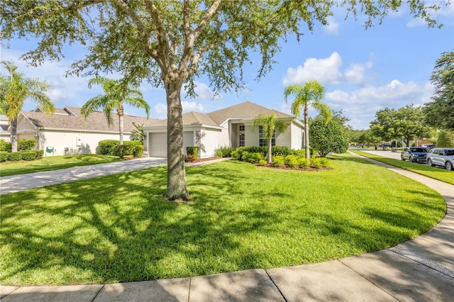 5849 Ansley Way, Mount Dora, FL 32757 - ranch-style home with driveway, a garage, a front yard, and stucco siding