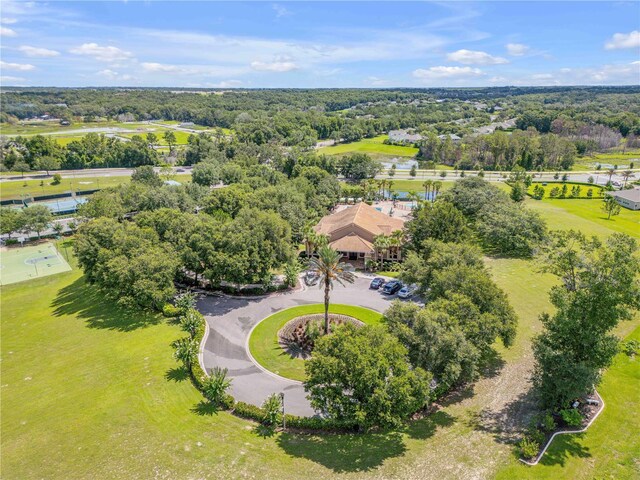 5849 Ansley Way, Mount Dora, FL 32757 - drone / aerial view