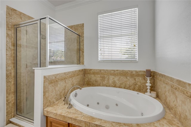 5849 Ansley Way, Mount Dora, FL 32757 - full bath with a shower stall, a whirlpool tub, and ornamental molding