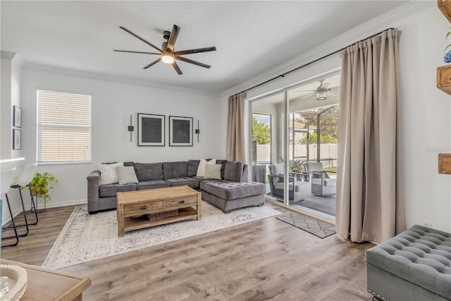 5849 Ansley Way, Mount Dora, FL 32757 - living room featuring a ceiling fan, ornamental molding, and wood finished floors
