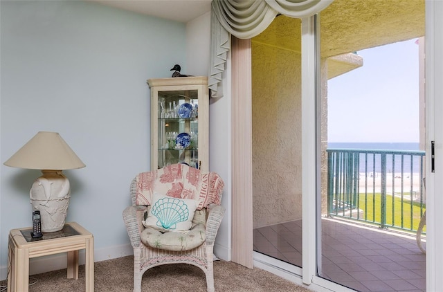 4555 S Atlantic Ave Unit 4310, Port Orange, FL 32127 - photo 17