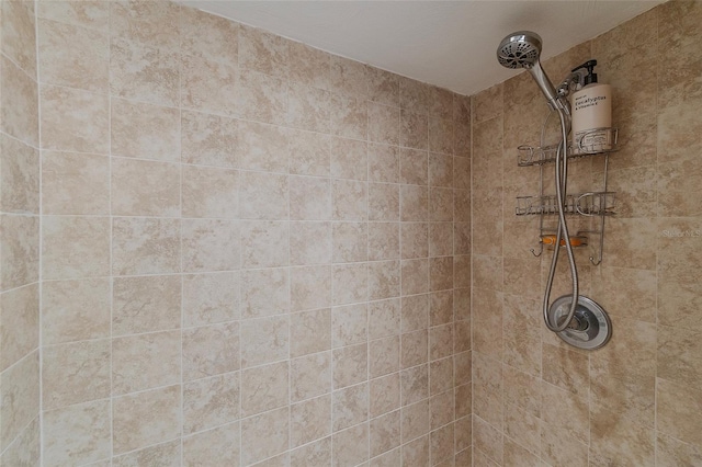 1051 Ocean Shore Blvd Unit 502, Ormond Beach, FL 32176 - bathroom view of a tile shower