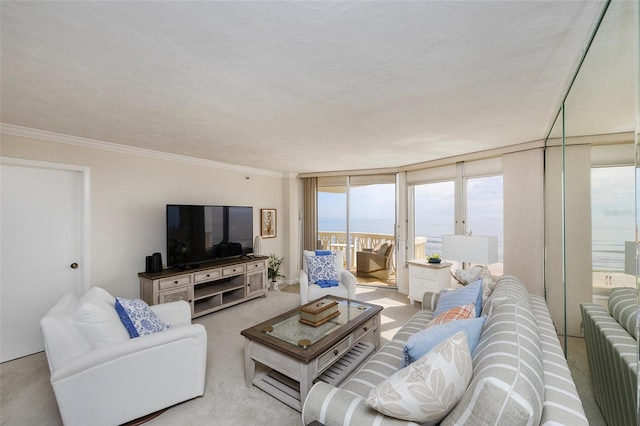1051 Ocean Shore Blvd Unit 502, Ormond Beach, FL 32176 - living area with carpet floors and crown molding