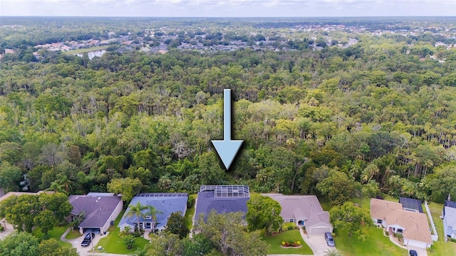 6065 Spruce Point Cir, Port Orange, FL 32128 - photo 43