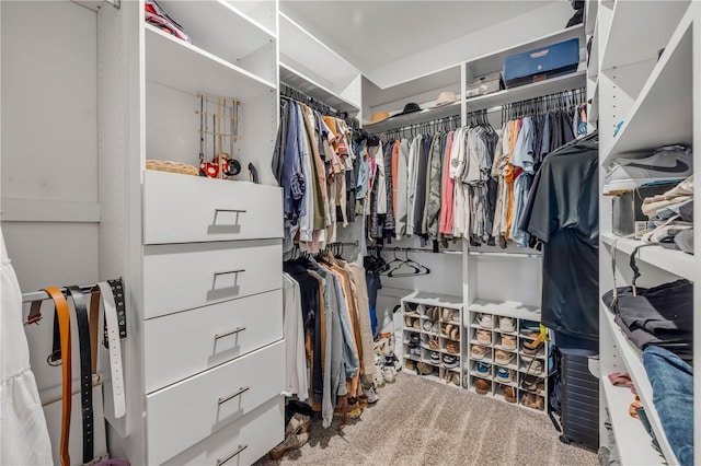 3116 Crab Trap Dr, New Smyrna Beach, FL 32168 - view of walk in closet