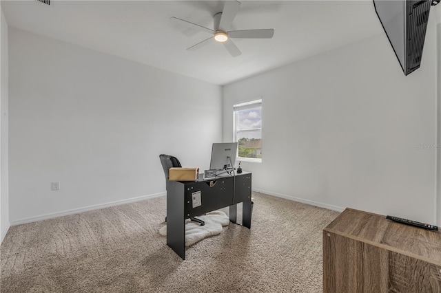 3116 Crab Trap Dr, New Smyrna Beach, FL 32168 - office with ceiling fan and carpet floors