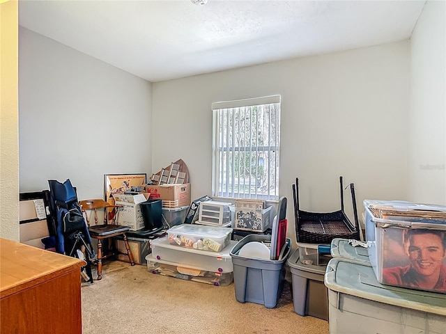 1331 Needle Palm Dr, Edgewater, FL 32132 - office with carpet