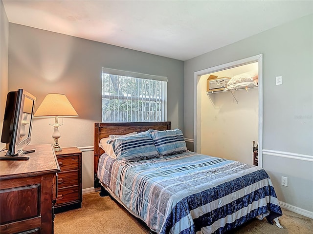 1331 Needle Palm Dr, Edgewater, FL 32132 - bedroom with light colored carpet and a closet