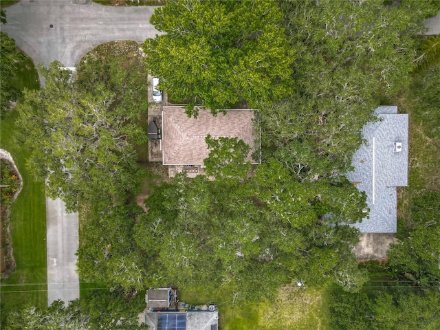 1331 Needle Palm Dr, Edgewater, FL 32132 - view of property location