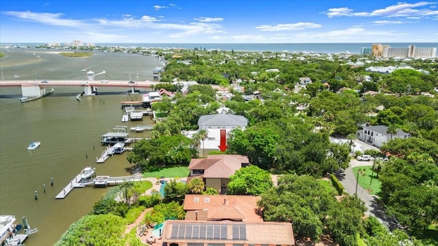 206 Canova Dr, New Smyrna Beach, FL 32169 - drone / aerial view of a large body of water and a notable bridge
