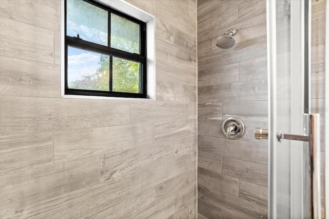 206 Canova Dr, New Smyrna Beach, FL 32169 - full bath featuring tiled shower