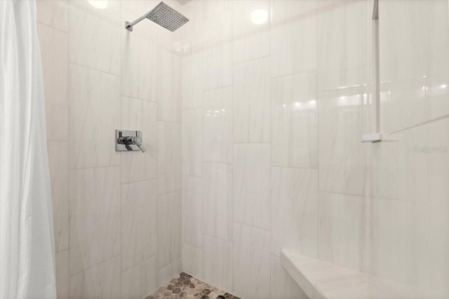206 Canova Dr, New Smyrna Beach, FL 32169 - bathroom with tiled shower