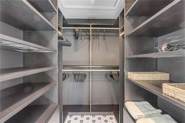 527 Old Minorcan Trl, New Smyrna Beach, FL 32168 - view of walk in closet