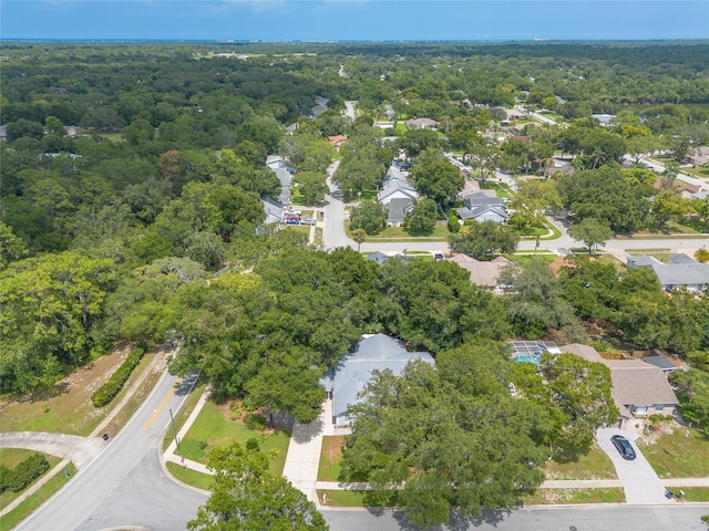 5919 Aruna Dr, Port Orange, FL 32127 - photo 51