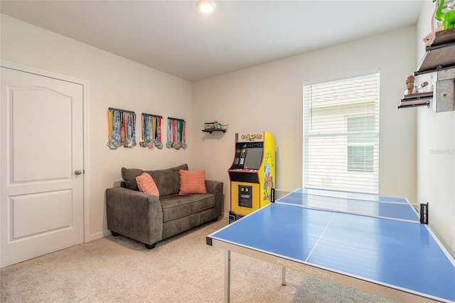 334 Caryota Ct, New Smyrna Beach, FL 32168 - photo 28