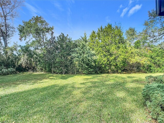 13 Surrey Ct Unit 13, Palm Coast, FL 32137 - view of grassy yard featuring a wooded view