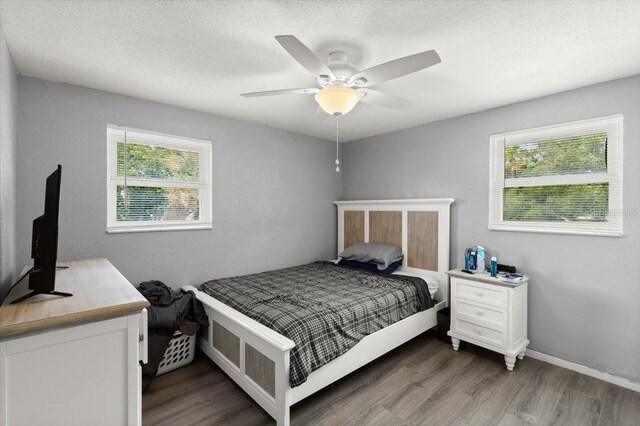 20 Putnam Ave, Ormond Beach, FL 32174 - bedroom featuring multiple windows, wood finished floors, and ceiling fan