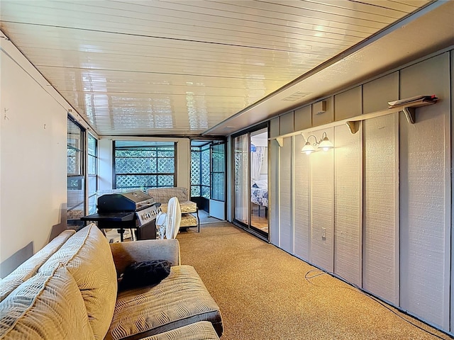 44 Fore Dr, New Smyrna Beach, FL 32168 - sunroom with carpet floors and a wall of windows