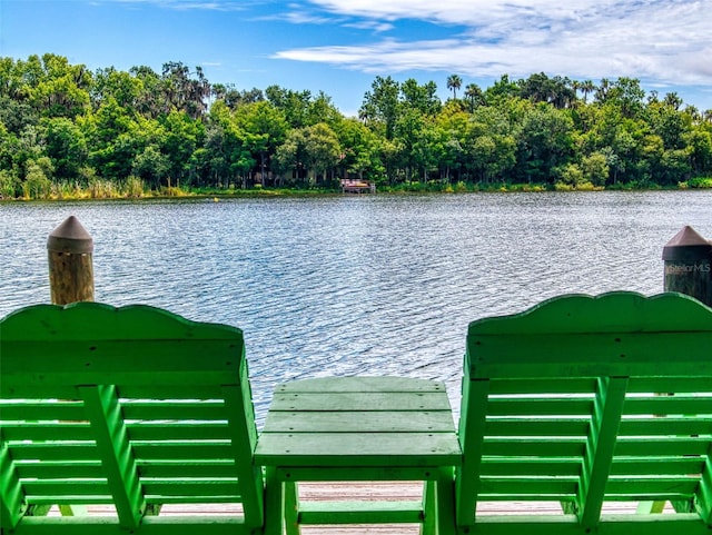1951 Waterford Estates Dr, New Smyrna Beach, FL 32168 - photo 58