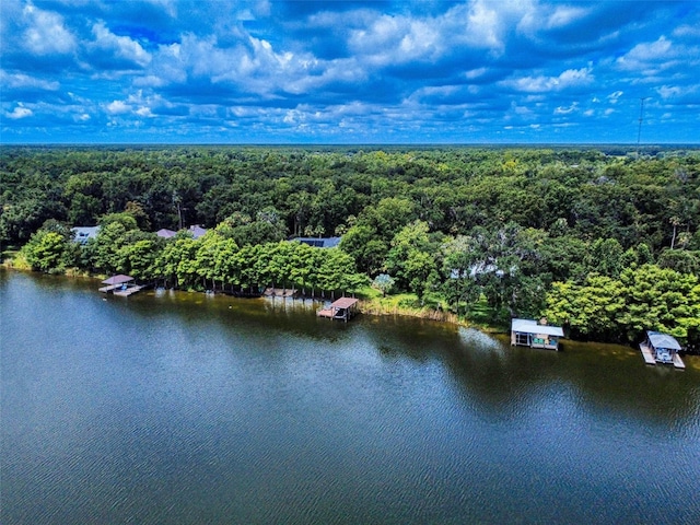 1951 Waterford Estates Dr, New Smyrna Beach, FL 32168 - photo 62