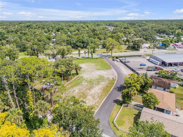 1005 Canal St, New Smyrna Beach, FL 32168 - photo 9