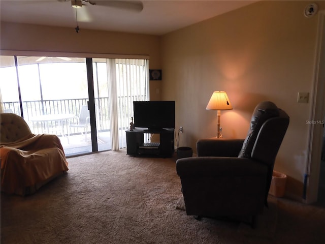 466 Bouchelle Dr Unit 204, New Smyrna Beach, FL 32169 - photo 37