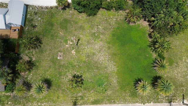 403 S Ridgewood Ave, Edgewater, FL 32132 - photo 6