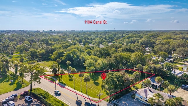 1104 Canal St, New Smyrna Beach, FL 32168 - photo 3
