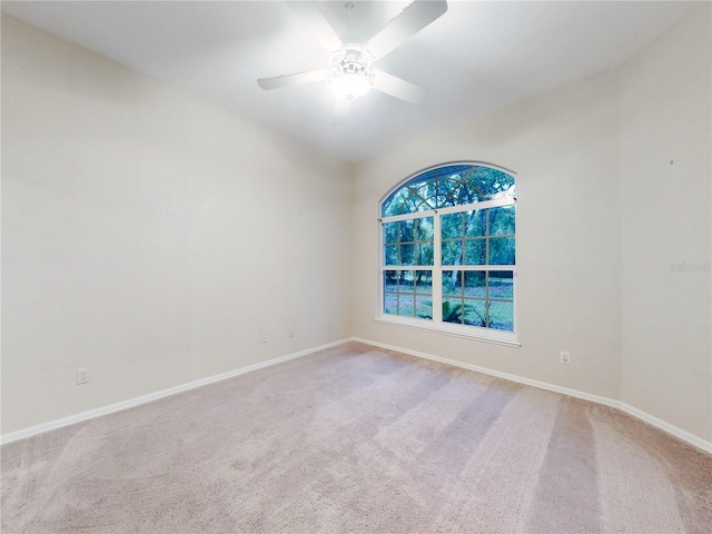 3035 Turnbull Bay Rd, New Smyrna Beach, FL 32168 - photo 49
