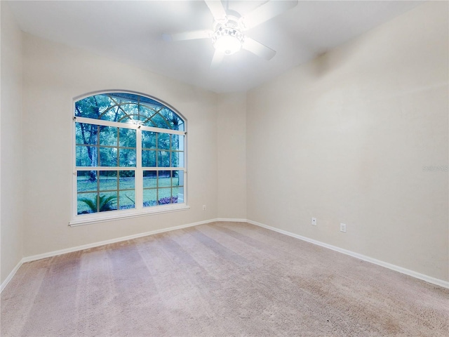 3035 Turnbull Bay Rd, New Smyrna Beach, FL 32168 - photo 50