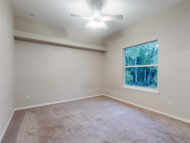 3035 Turnbull Bay Rd, New Smyrna Beach, FL 32168 - photo 55