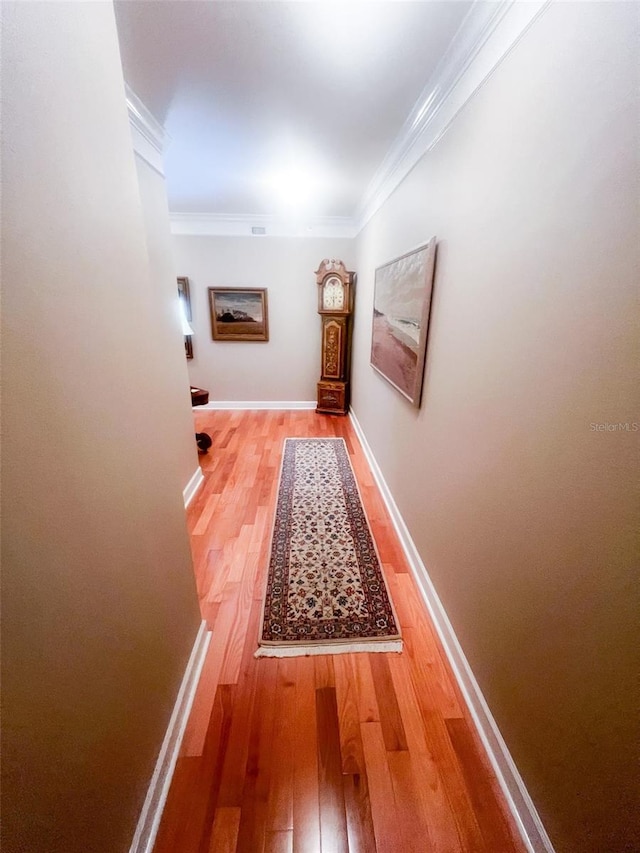 630 Vassar St Unit 2301, Orlando, FL 32804 - photo 30