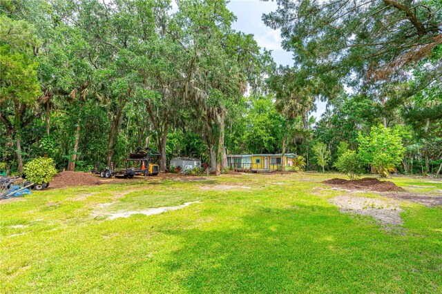 849 Terrace Ave, Daytona Beach, FL 32114 - photo 4
