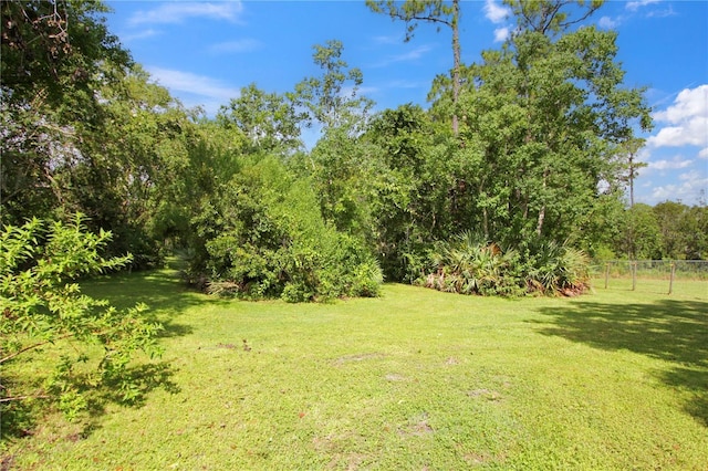 4178 Falling Leaf Dr, New Smyrna Beach, FL 32168 - photo 71