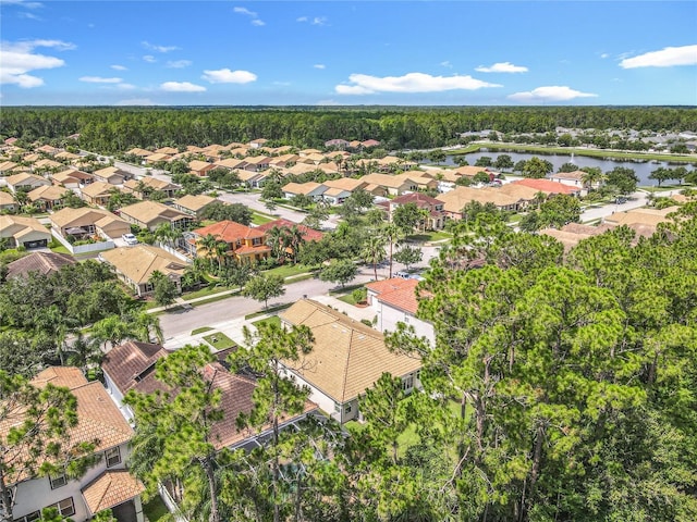 3361 Pegaso Ave, New Smyrna Beach, FL 32168 - aerial view of residential area with a nearby body of water and a forest
