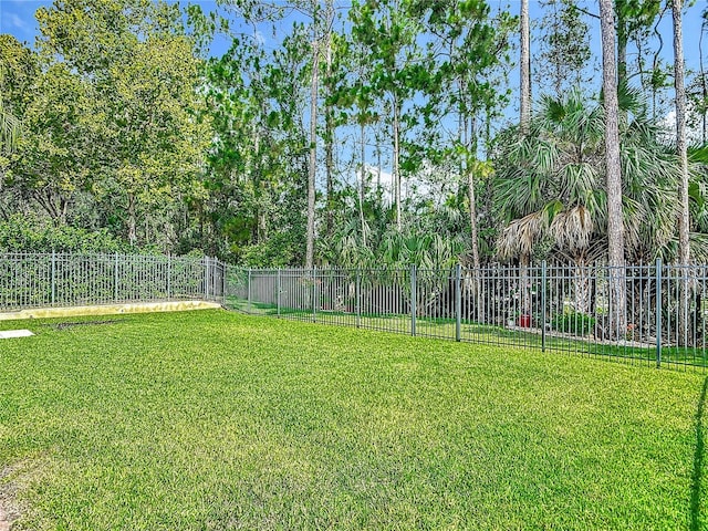 3361 Pegaso Ave, New Smyrna Beach, FL 32168 - view of yard