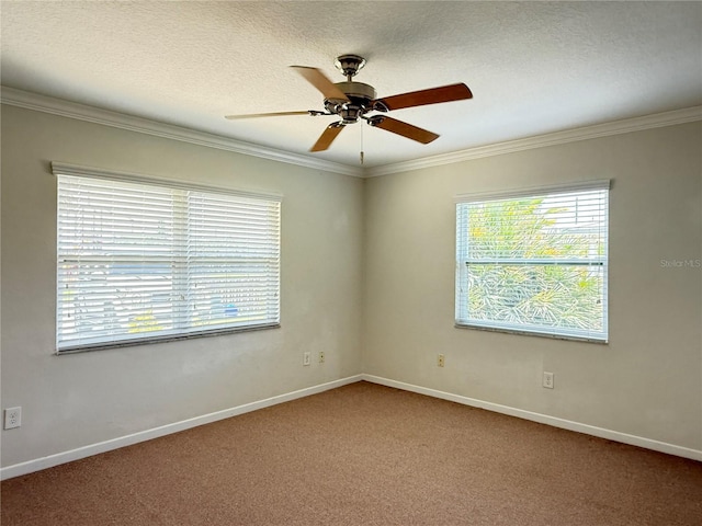 712-714 Oakwood Ave, New Smyrna Beach, FL 32169 - photo 17