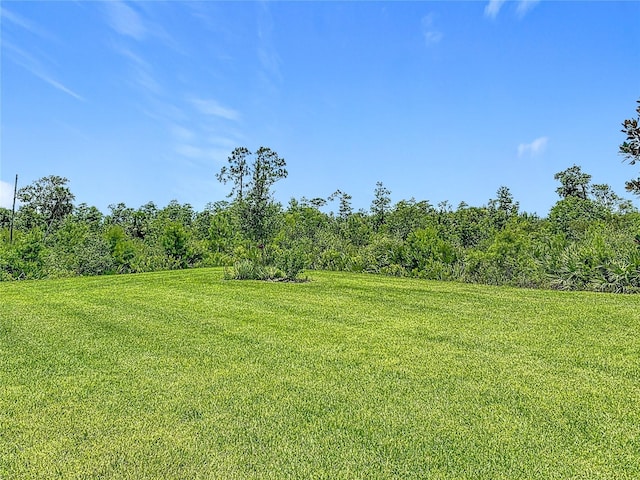3211 Silas Dr, New Smyrna Beach, FL 32168 - photo 38